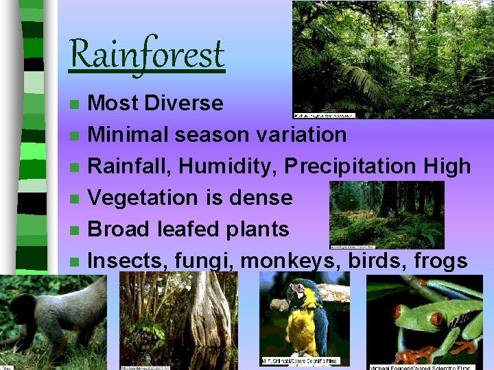 Rainforest n n n Most Diverse Minimal season variation Rainfall, Humidity, Precipitation High Vegetation Rainforest n n n Most Diverse Minimal season variation Rainfall, Humidity, Precipitation High Vegetation