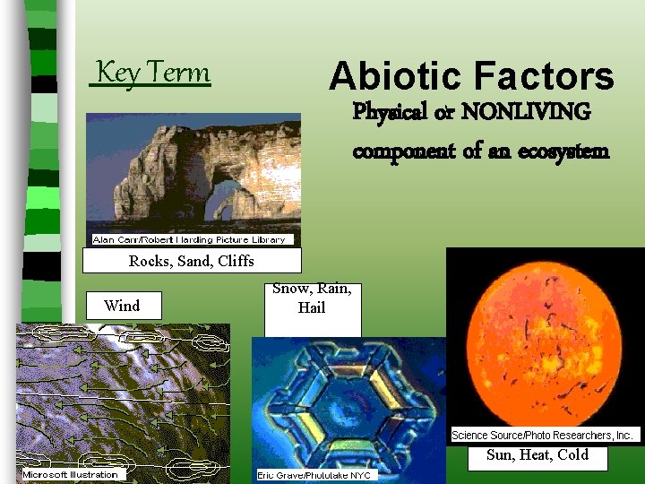 Key Term Abiotic Factors Physical or NONLIVING component of an ecosystem Rocks, Sand, Cliffs Key Term Abiotic Factors Physical or NONLIVING component of an ecosystem Rocks, Sand, Cliffs