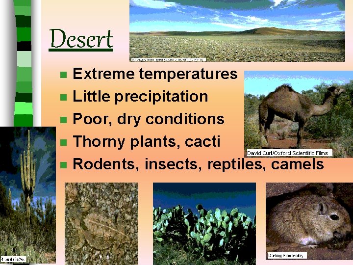 Desert n n n Extreme temperatures Little precipitation Poor, dry conditions Thorny plants, cacti Desert n n n Extreme temperatures Little precipitation Poor, dry conditions Thorny plants, cacti