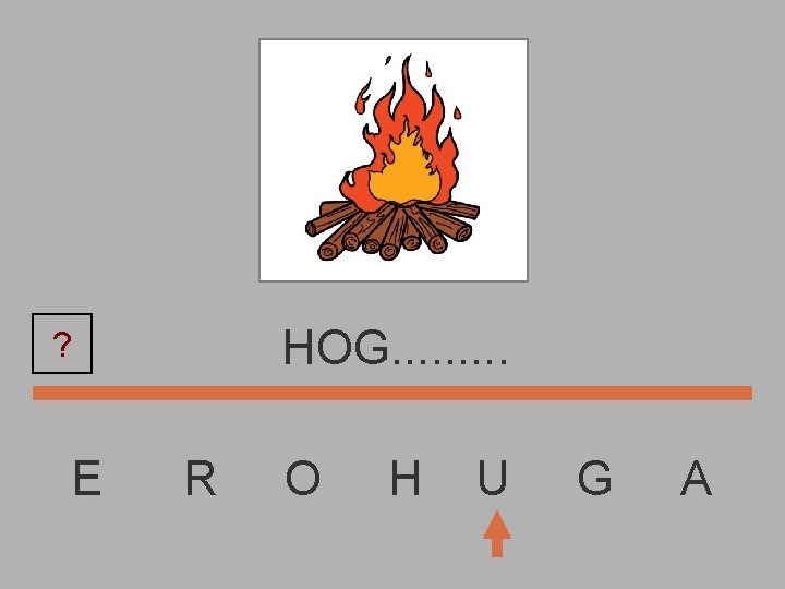 HOG. . ? E R O H U G A 