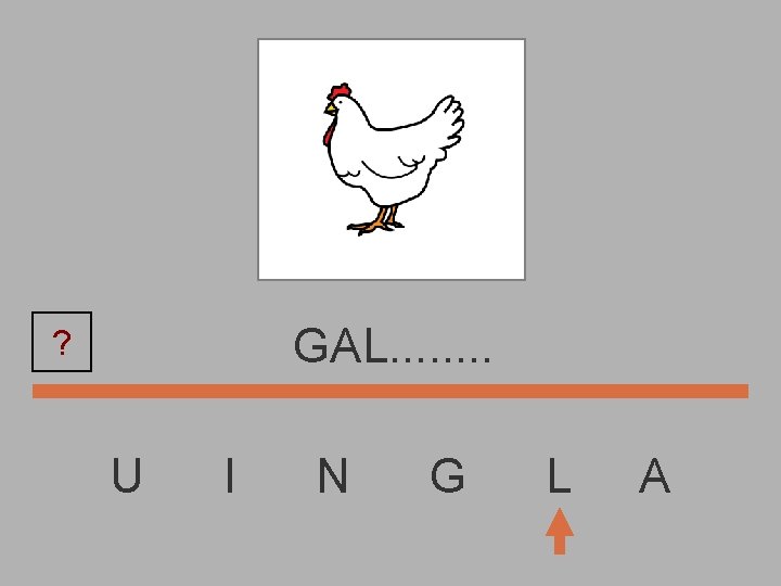 GAL. . . . ? U I N G L A 