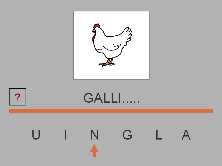 GALLI. . . ? U I N G L A 