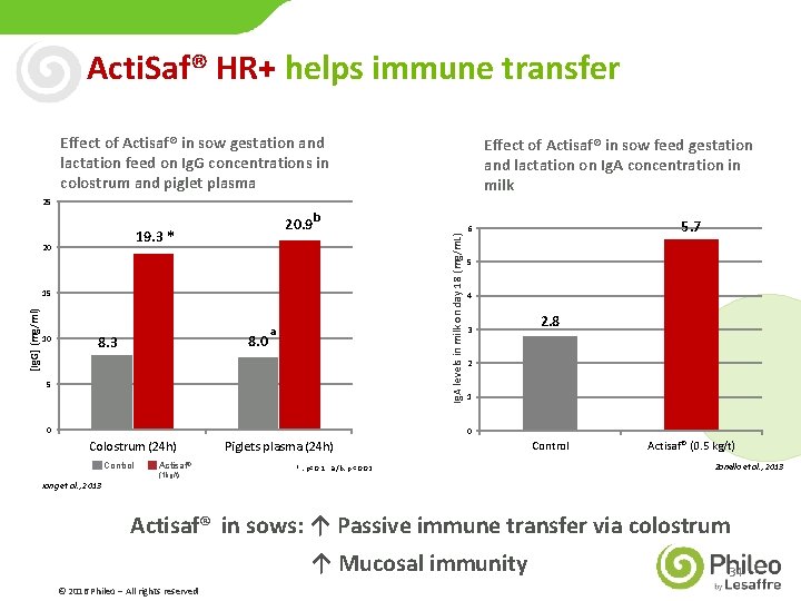 Acti. Saf® HR+ helps immune transfer Effect of Actisaf® in sow gestation and lactation