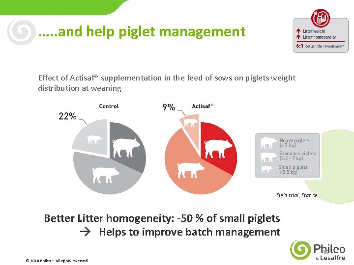 …. . and help piglet management Effect of Actisaf® supplementation in the feed of