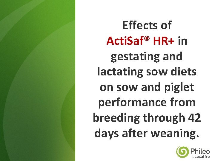 Effects of Acti. Saf® HR+ in gestating and lactating sow diets on sow and