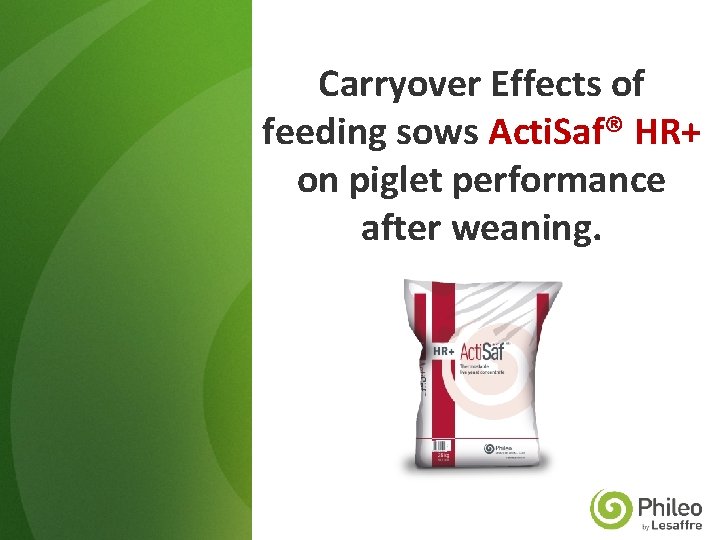 Carryover Effects of feeding sows Acti. Saf® HR+ on piglet performance after weaning. 
