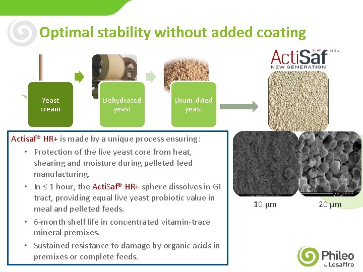 Optimal stability without added coating Yeast cream Dehydrated yeast Drum-dried yeast Actisaf® HR+ is