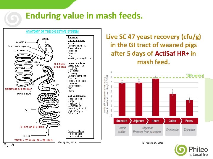 Enduring value in mash feeds. 0, 3 -0, 4 m or 1, 5 liters