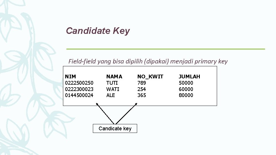 Candidate Key Field-field yang bisa dipilih (dipakai) menjadi primary key NIM 0222500250 0222300023 0144500024
