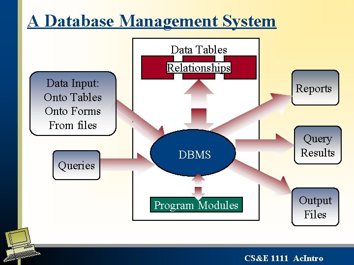 A Database Management System Data Tables Relationships Data Input: Onto Tables Onto Forms From A Database Management System Data Tables Relationships Data Input: Onto Tables Onto Forms From