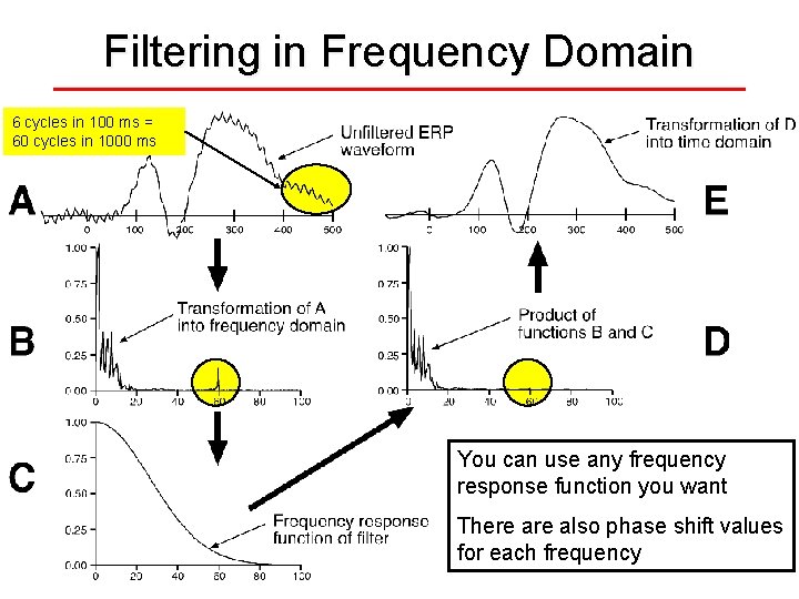 Filtering in Frequency Domain 6 cycles in 100 ms = 60 cycles in 1000
