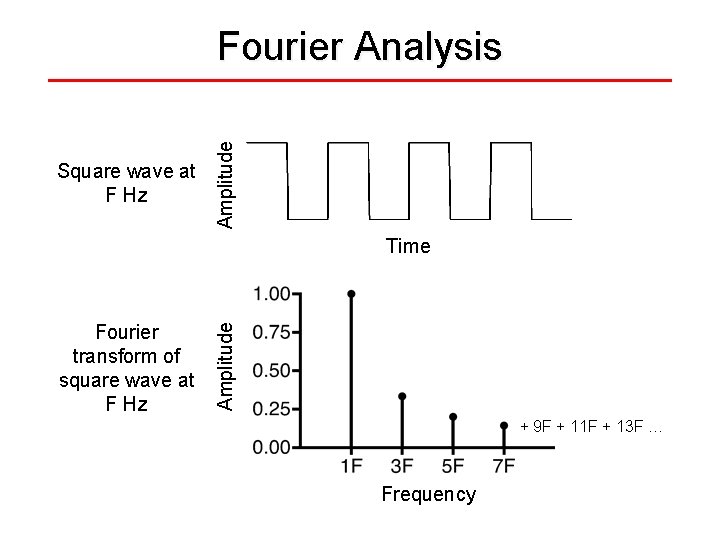 Square wave at F Hz Amplitude Fourier Analysis Fourier transform of square wave at