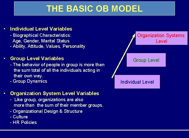 THE BASIC OB MODEL • Individual Level Variables - Biographical Characteristics: Age, Gender, Marital THE BASIC OB MODEL • Individual Level Variables - Biographical Characteristics: Age, Gender, Marital