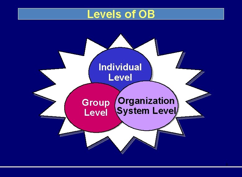 Levels of OB Individual Level Group Organization Level System Level 9 Levels of OB Individual Level Group Organization Level System Level 9