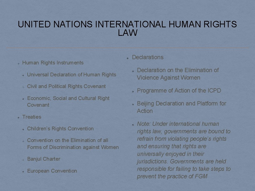 UNITED NATIONS INTERNATIONAL HUMAN RIGHTS LAW Human Rights Instruments Universal Declaration of Human Rights