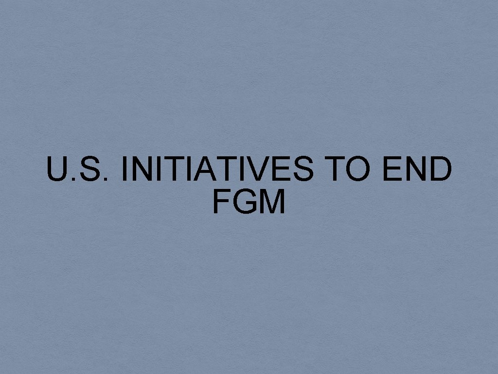 U. S. INITIATIVES TO END FGM 