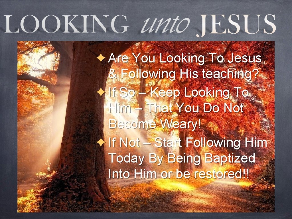 ✦ Are You Looking To Jesus & Following His teaching? ✦ If So –