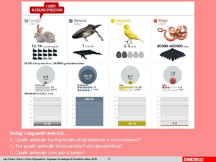 Svolgi i seguenti esercizi. 1. Quale animale ha il periodo di gestazione o cova