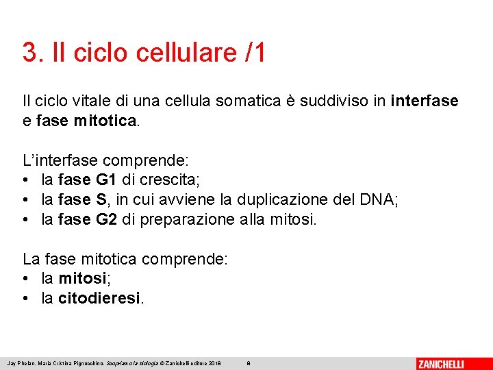 3. Il ciclo cellulare /1 Il ciclo vitale di una cellula somatica è suddiviso
