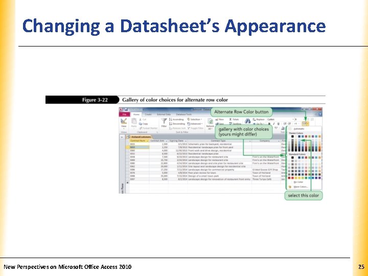 Changing a Datasheet’s Appearance New Perspectives on Microsoft Office Access 2010 XP 25 