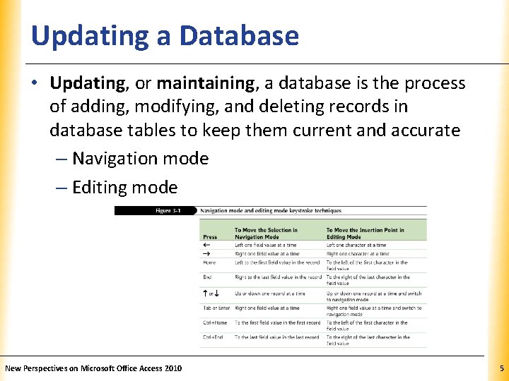 Updating a Database XP • Updating, or maintaining, a database is the process of