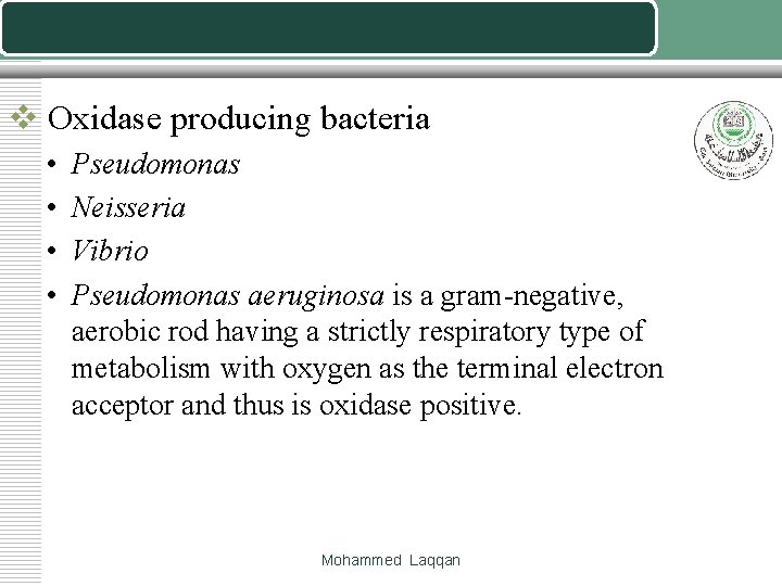 v Oxidase producing bacteria • • Pseudomonas Neisseria Vibrio Pseudomonas aeruginosa is a gram-negative,