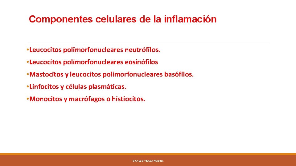 Componentes celulares de la inflamación • Leucocitos polimorfonucleares neutrófilos. • Leucocitos polimorfonucleares eosinófilos •