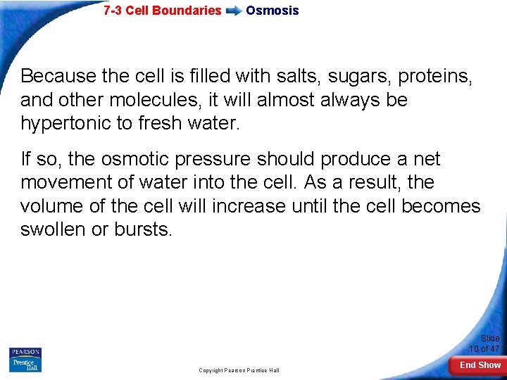 7 -3 Cell Boundaries Osmosis Because the cell is filled with salts, sugars, proteins, 7 -3 Cell Boundaries Osmosis Because the cell is filled with salts, sugars, proteins,