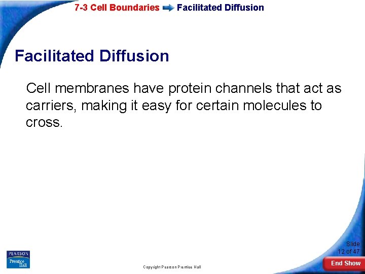 7 -3 Cell Boundaries Facilitated Diffusion Cell membranes have protein channels that act as 7 -3 Cell Boundaries Facilitated Diffusion Cell membranes have protein channels that act as