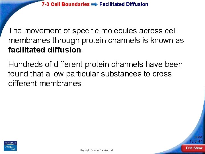 7 -3 Cell Boundaries Facilitated Diffusion The movement of specific molecules across cell membranes
