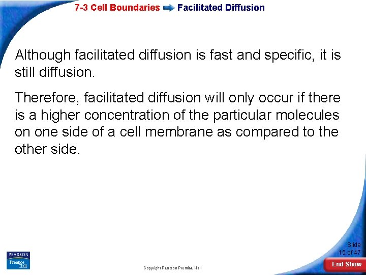 7 -3 Cell Boundaries Facilitated Diffusion Although facilitated diffusion is fast and specific, it