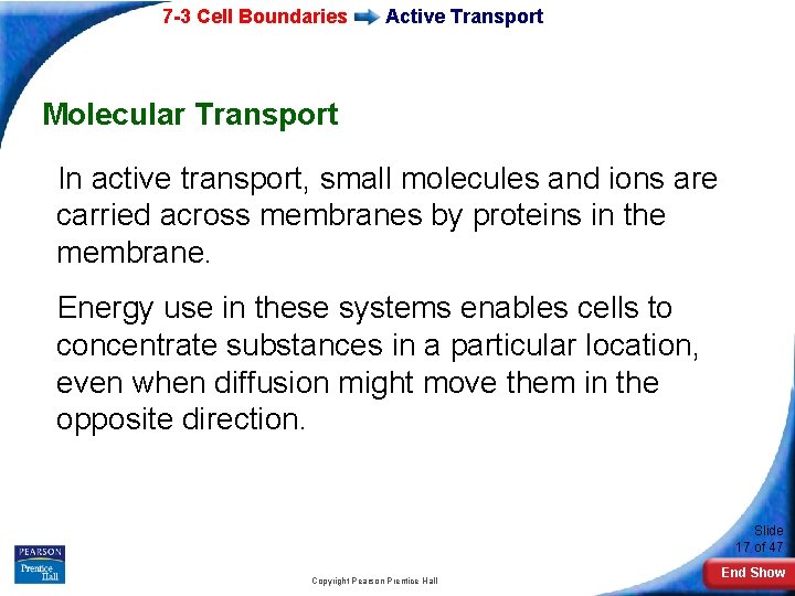 7 -3 Cell Boundaries Active Transport Molecular Transport In active transport, small molecules and 7 -3 Cell Boundaries Active Transport Molecular Transport In active transport, small molecules and