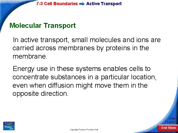 7 -3 Cell Boundaries Active Transport Molecular Transport In active transport, small molecules and