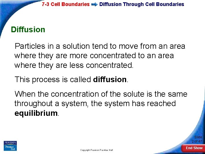 7 -3 Cell Boundaries Diffusion Through Cell Boundaries Diffusion Particles in a solution tend