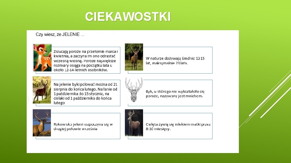 CIEKAWOSTKI 