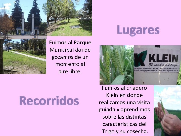 Lugares Fuimos al Parque Municipal donde gozamos de un momento al aire libre. Recorridos