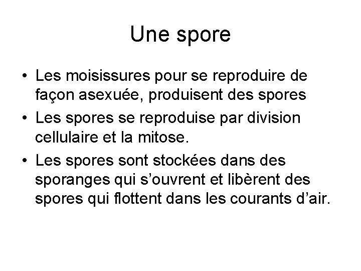Une spore • Les moisissures pour se reproduire de façon asexuée, produisent des spores