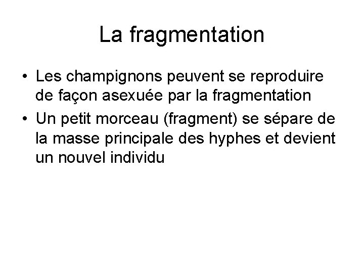 La fragmentation • Les champignons peuvent se reproduire de façon asexuée par la fragmentation