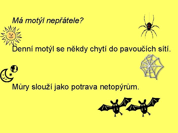 Má motýl nepřátele? Denní motýl se někdy chytí do pavoučích sítí. Můry slouží jako