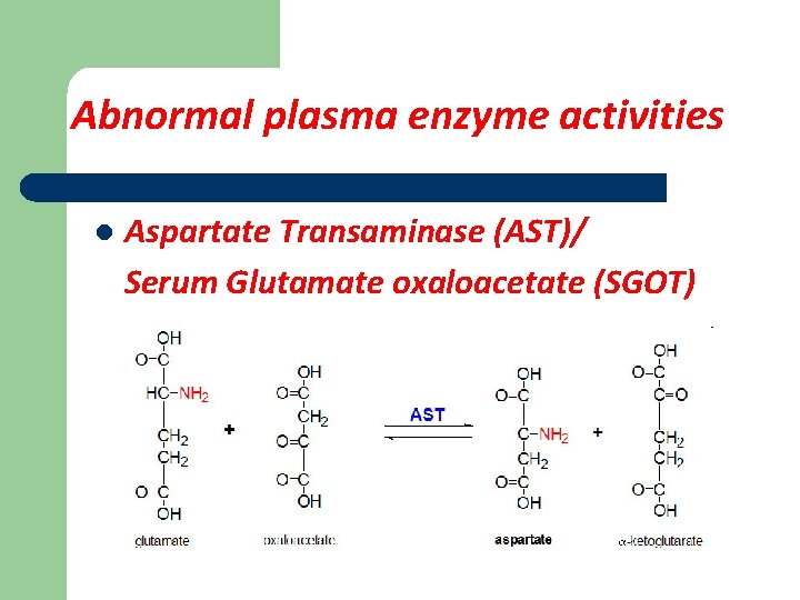 Abnormal plasma enzyme activities l Aspartate Transaminase (AST)/ Serum Glutamate oxaloacetate (SGOT) 