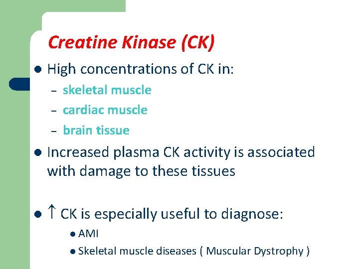 Creatine Kinase (CK) l High concentrations of CK in: – – – skeletal muscle