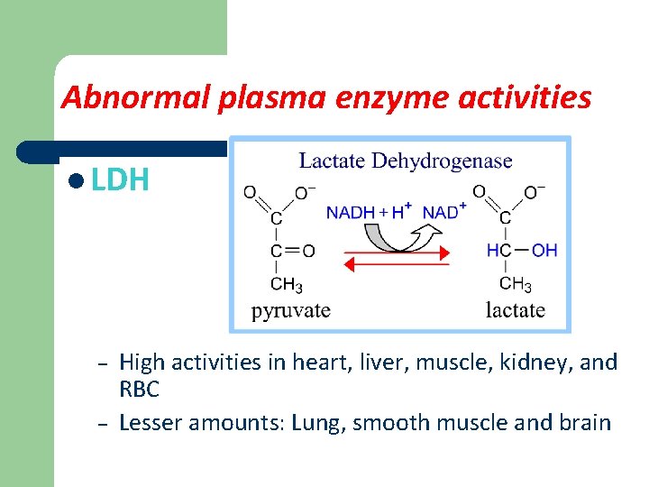 Abnormal plasma enzyme activities l LDH – – High activities in heart, liver, muscle,
