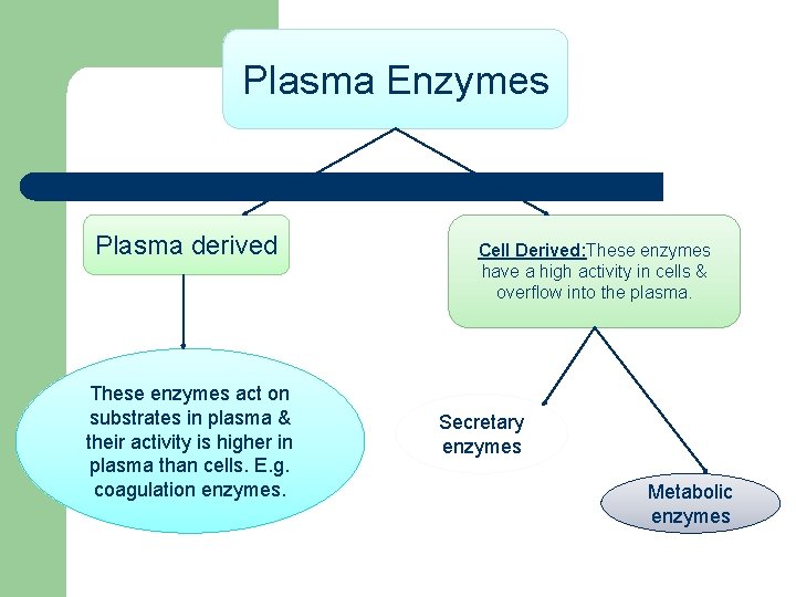 Plasma Enzymes Plasma derived These enzymes act on substrates in plasma & their activity
