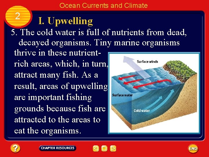 Ocean Currents and Climate 2 I. Upwelling 5. The cold water is full of