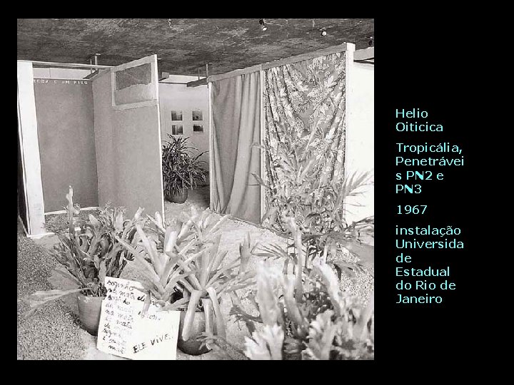 Helio Oiticica Tropicália, Penetrávei s PN 2 e PN 3 1967 instalação Universida de