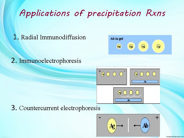 Applications of precipitation Rxns 1. Radial Immunodiffusion 2. Immunoelectrophoresis 3. Countercurrent electrophoresis 