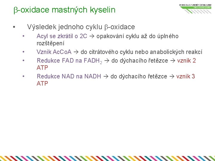 b-oxidace mastných kyselin Výsledek jednoho cyklu b-oxidace • • • Acyl se zkrátil o