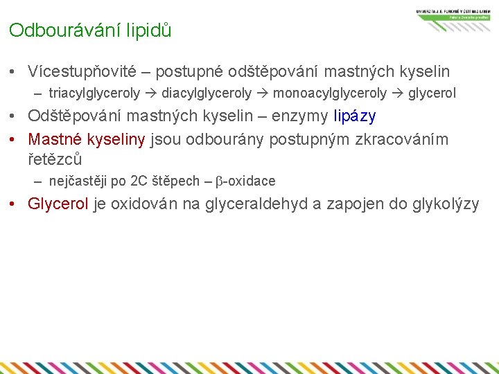 Odbourávání lipidů • Vícestupňovité – postupné odštěpování mastných kyselin – triacylglyceroly diacylglyceroly monoacylglyceroly glycerol