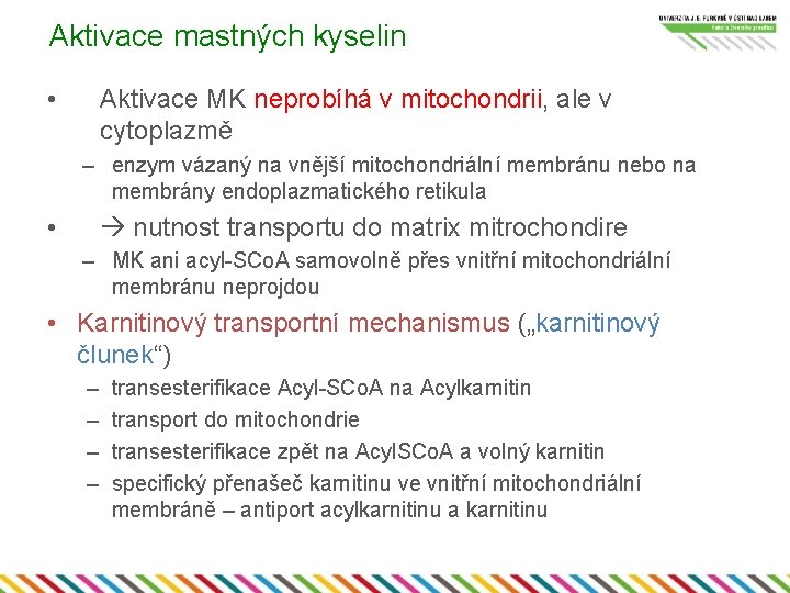 Aktivace mastných kyselin • Aktivace MK neprobíhá v mitochondrii, ale v cytoplazmě – enzym