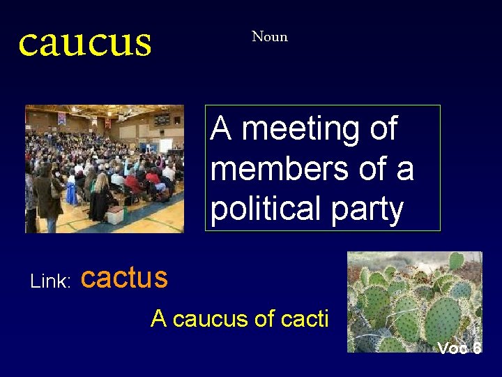 caucus Noun A meeting of members of a political party Link: cactus A caucus